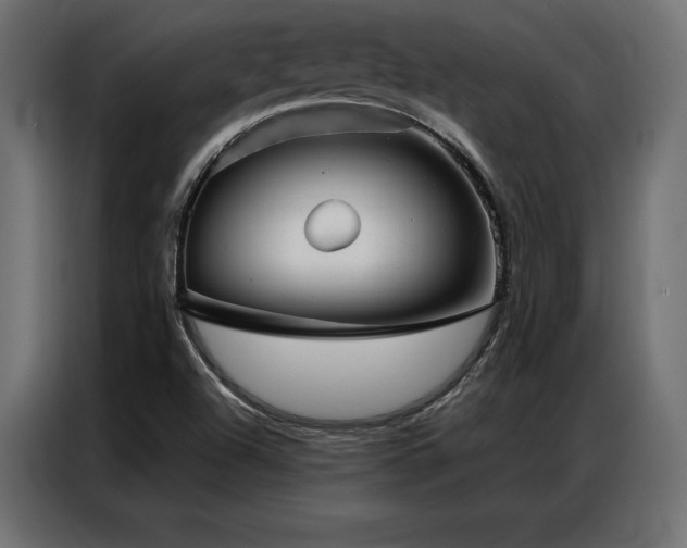X0000086981504200704161439