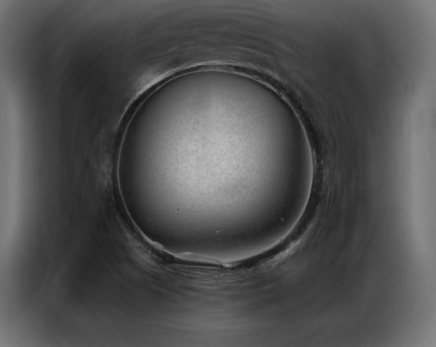X0000086981505200704161439