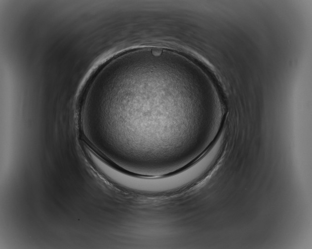 X0000086981506200704161439