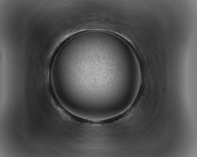 X0000086981507200704161439