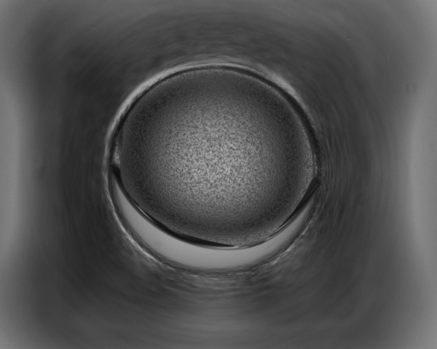 X0000086981508200704161439