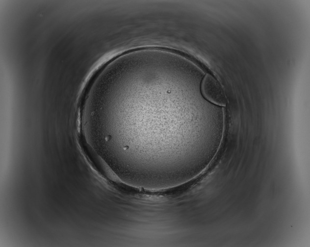 X0000086981509200704161439