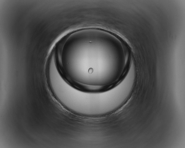 X0000086981510200704161439