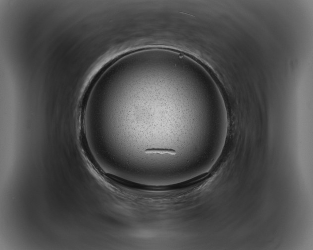 X0000086981511200704161439