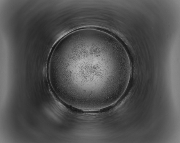 X0000086981513200704161439