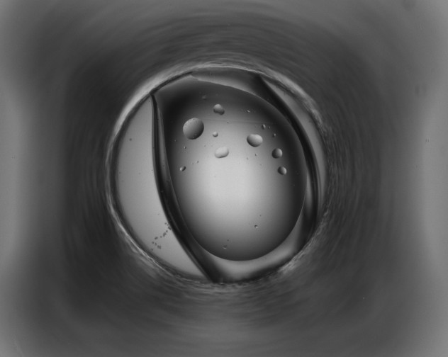 X0000086981514200704161439