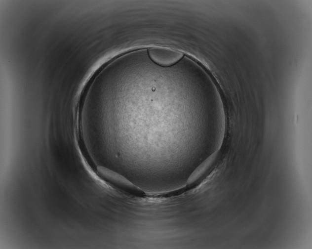 X0000086981515200704161439