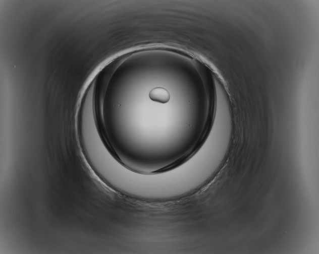 X0000086981516200704161439