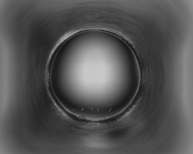 X0000086981517200704161439