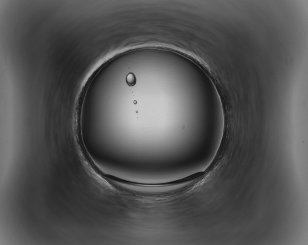 X0000086981518200704161439