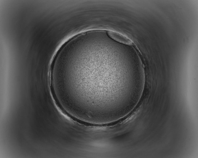 X0000086981519200704161439