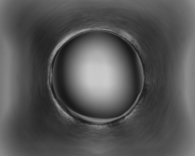 X0000086981520200704161439