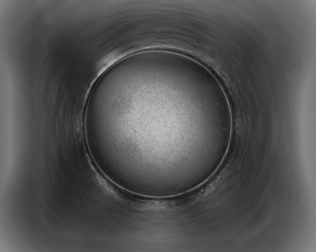 X0000086981521200704161439