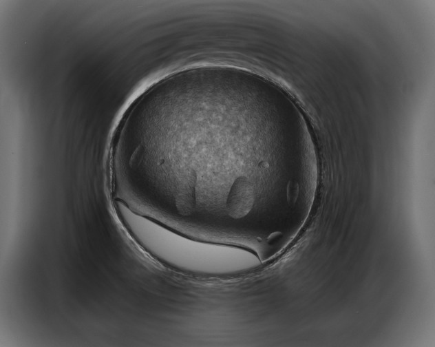 X0000086981522200704161439