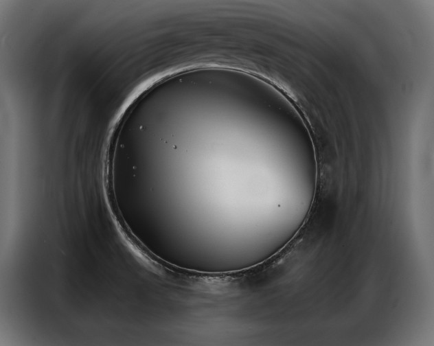 X0000086981523200704161439