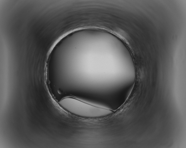 X0000086981524200704161439
