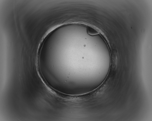 X0000086981525200704161439