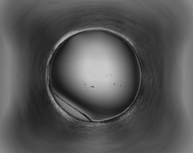 X0000086981526200704161439