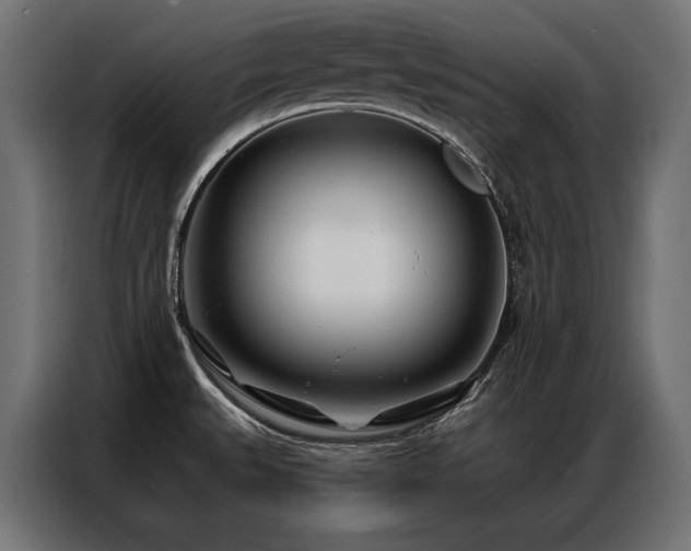 X0000086981527200704161439