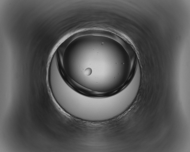 X0000086981528200704161439