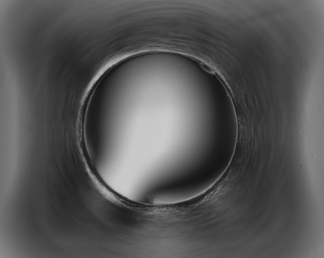 X0000086981531200704161439