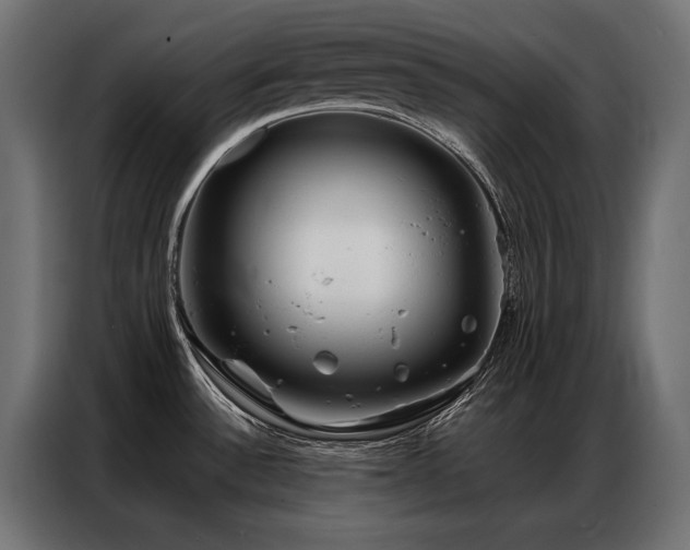 X0000086981532200704161439