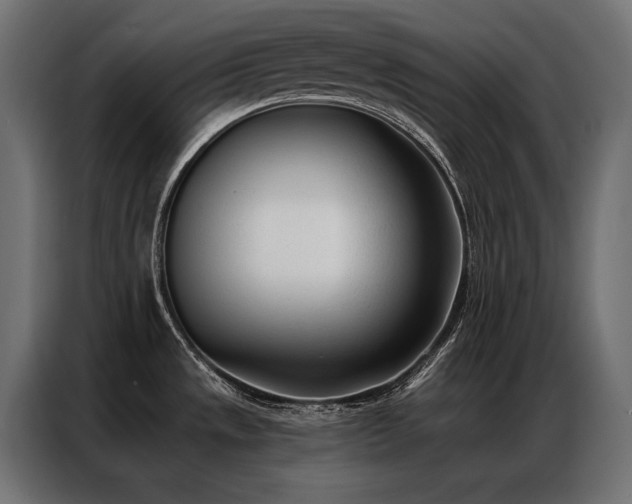 X0000086981533200704161439