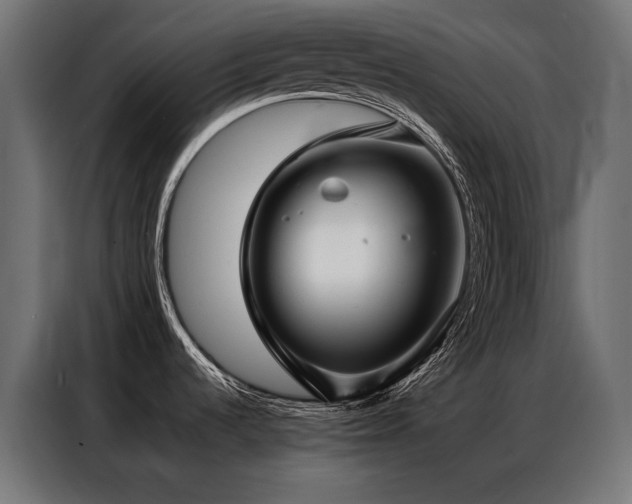 X0000086981536200704161439