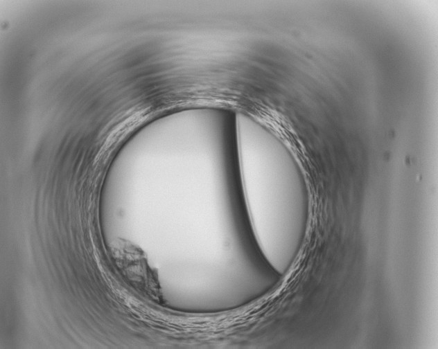 X0000086980001200704231831