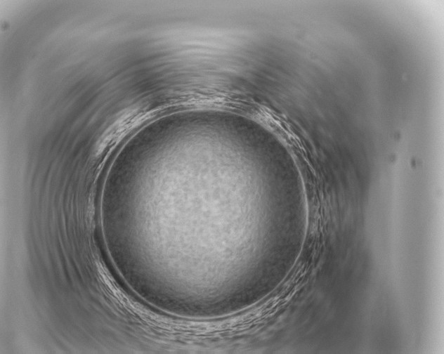 X0000086980002200704231831