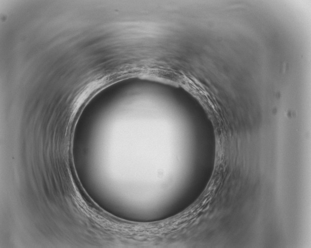 X0000086980003200704231831