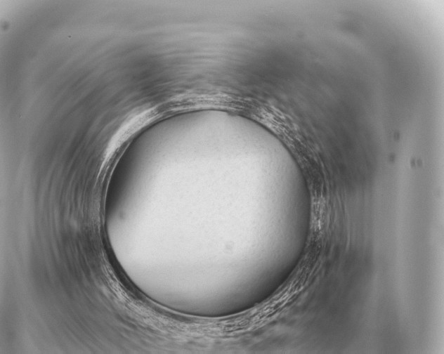 X0000086980004200704231831