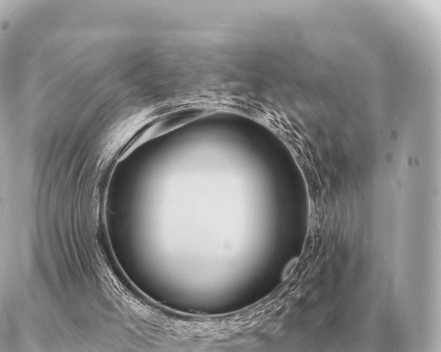 X0000086980005200704231831