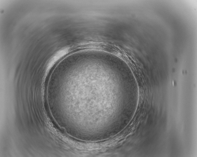 X0000086980006200704231831