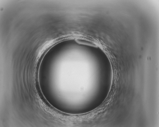 X0000086980007200704231831