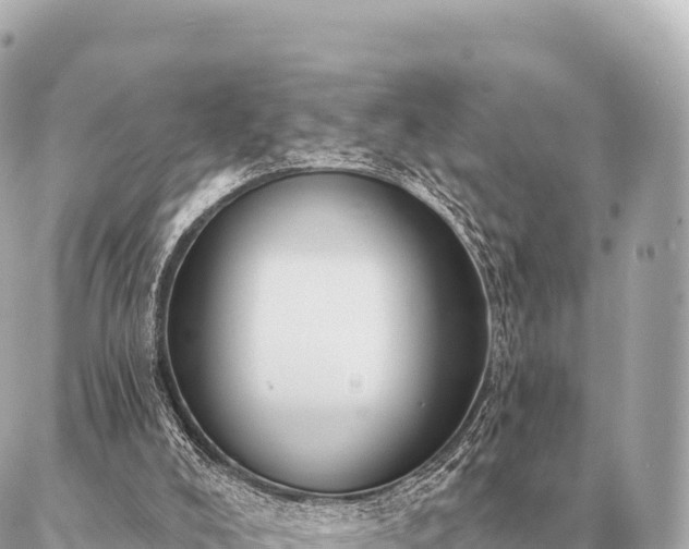 X0000086980008200704231831