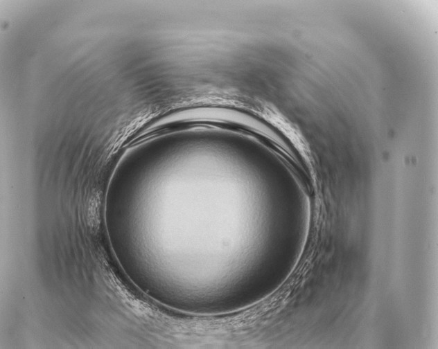 X0000086980009200704231831