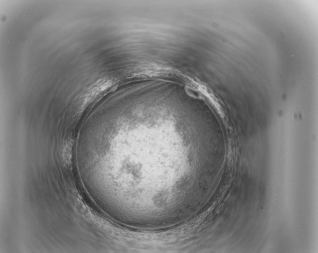 X0000086980010200704231831