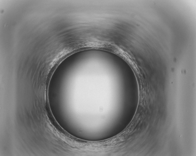 X0000086980011200704231831