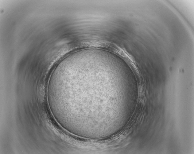 X0000086980012200704231831