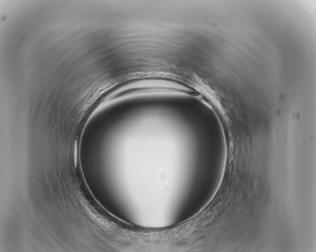 X0000086980013200704231831