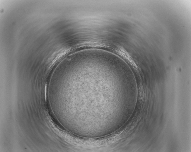 X0000086980014200704231831