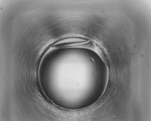 X0000086980015200704231831