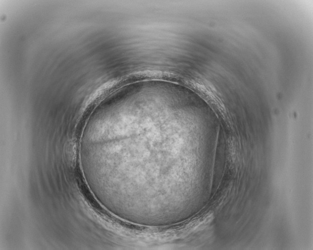 X0000086980016200704231831