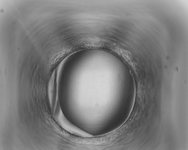 X0000086980017200704231831