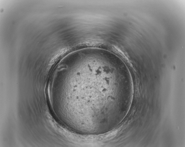 X0000086980019200704231831