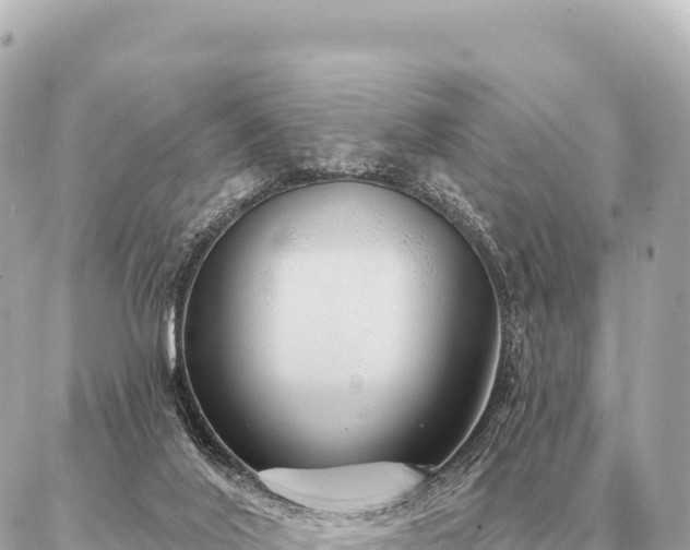 X0000086980020200704231831