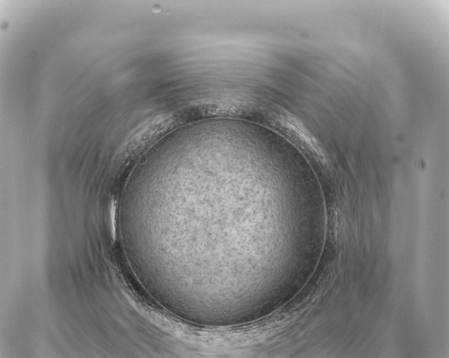 X0000086980022200704231831