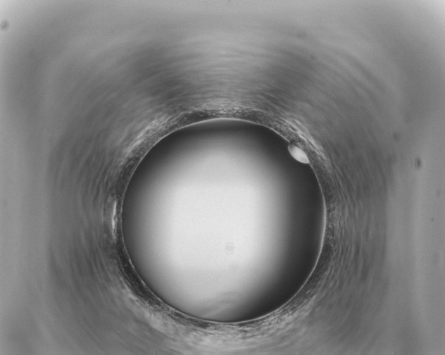 X0000086980024200704231831