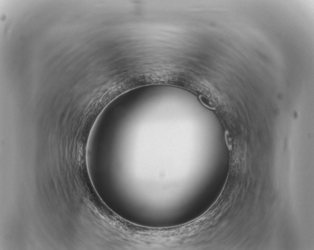 X0000086980025200704231830